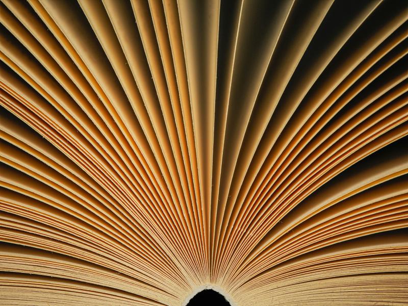 Billede af åben bog hvor siderne spreder sig som vinger