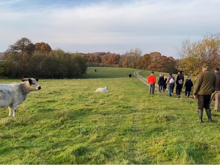 Foto: Nationalpark Kongernes Nordsjælland