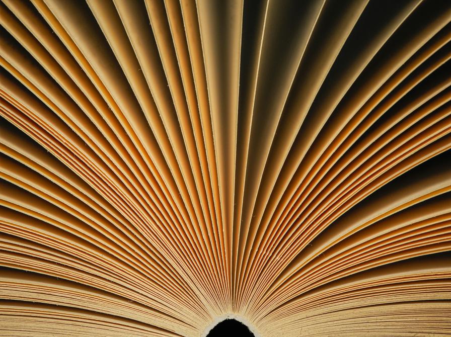 Billede af åben bog hvor siderne spreder sig som vinger