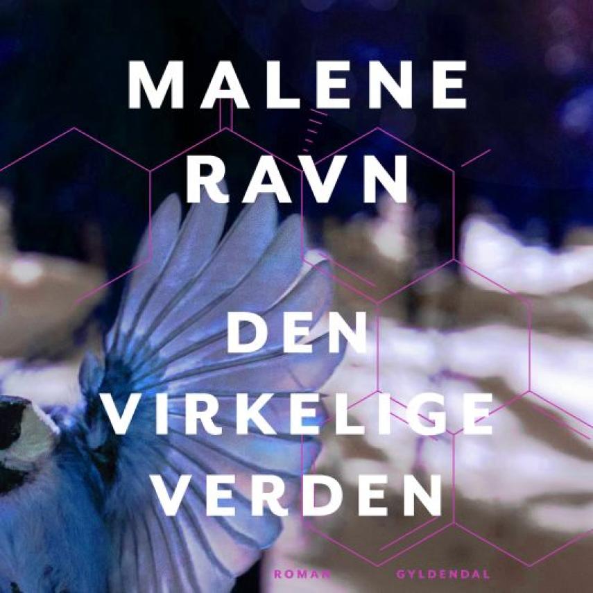 Malene Ravn (f. 1971): Den virkelige verden