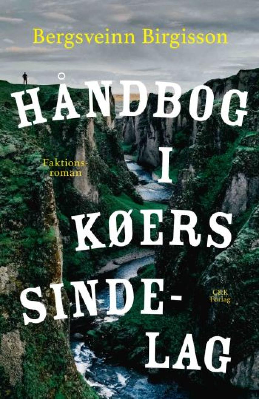 Bergsveinn Birgisson: Håndbog i køers sindelag : en faktionsroman