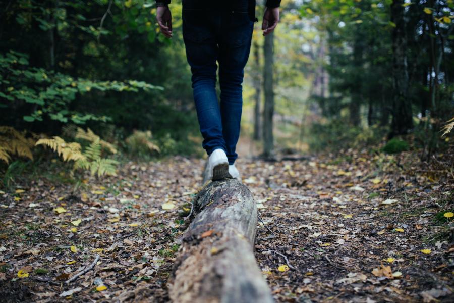 Foto af ben, der vandrer i en skov