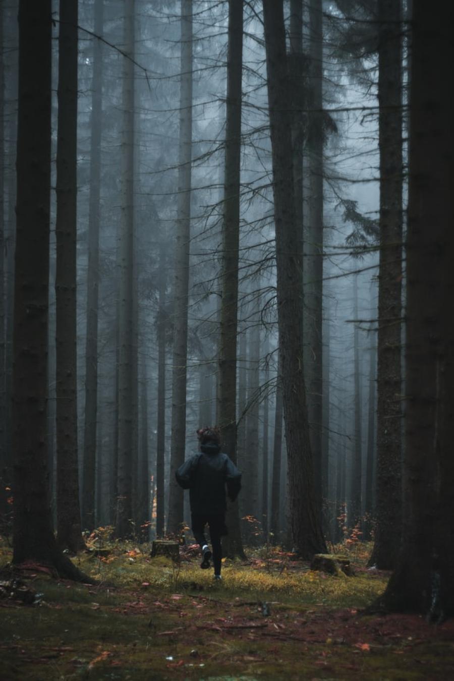 En person, der løber i en mørk og tåget granskov. Foto fra Unsplash