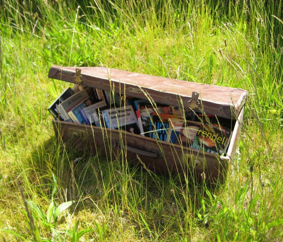 Kuffert fyldt med bøger på i højt græs